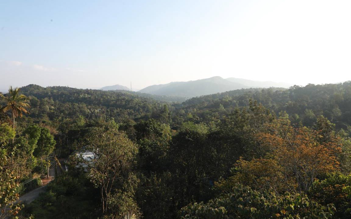 Photo of Others in Thekkady