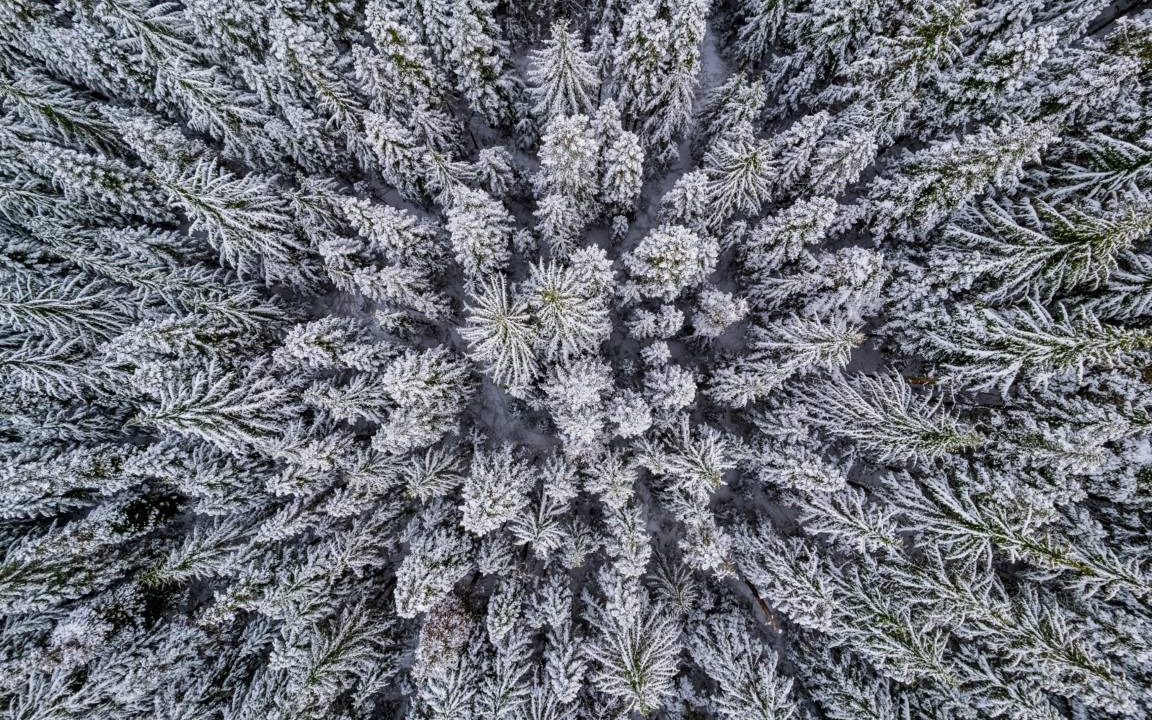 Photo of Others in Hyak