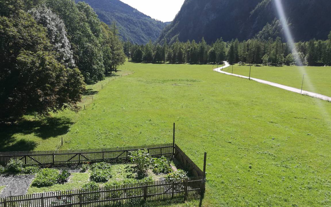 Photo of Others in Mojstrana