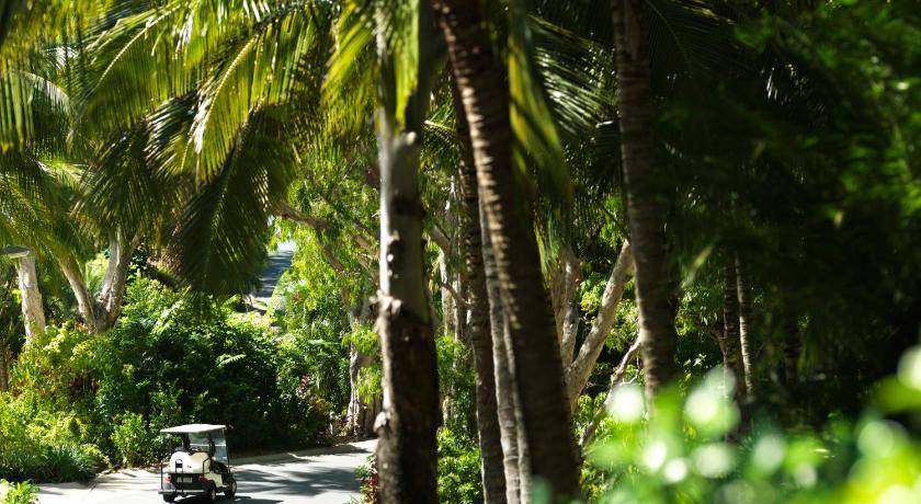 Photo of Others in Hamilton Island