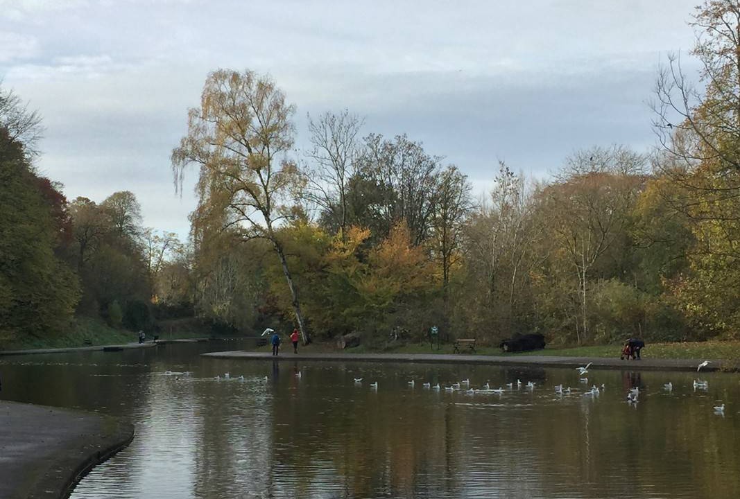 Photo of Others in Bristol