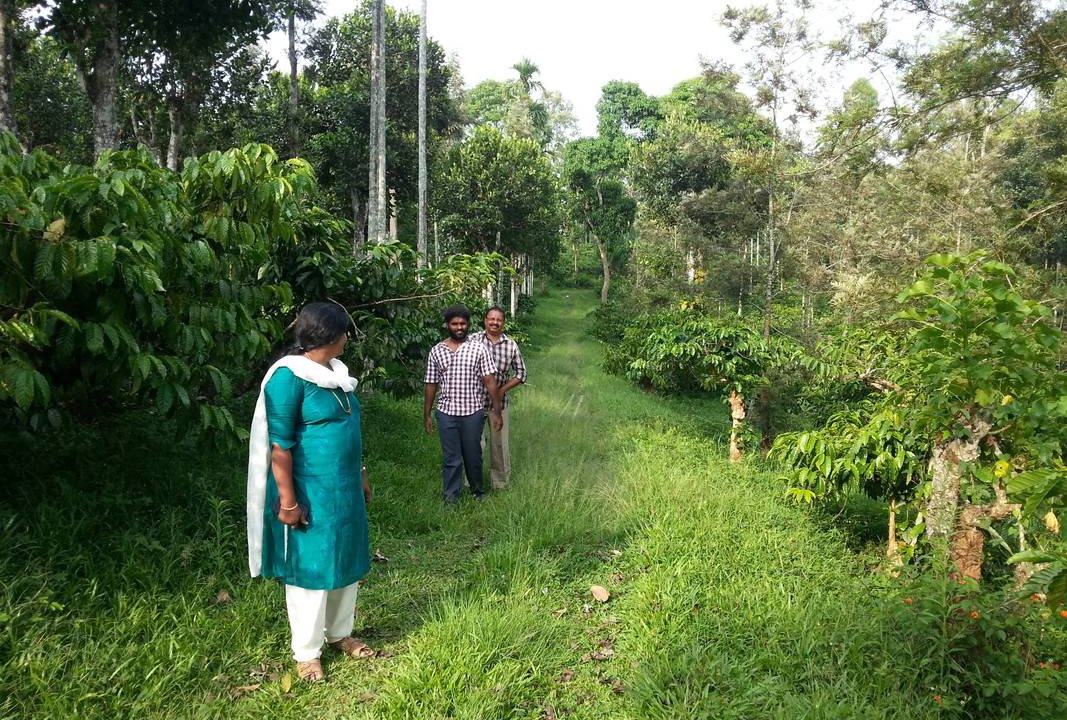 Photo of Outdoor in Sulthan Bathery