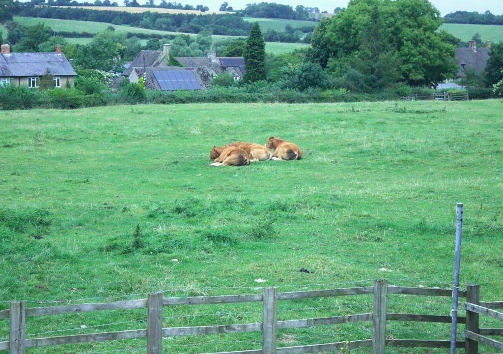 Photo of Others in Sulgrave