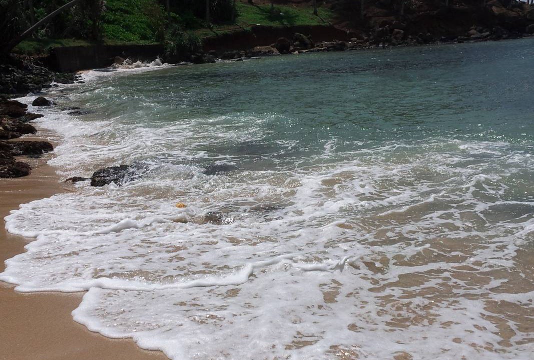 Photo of Others in Mirissa
