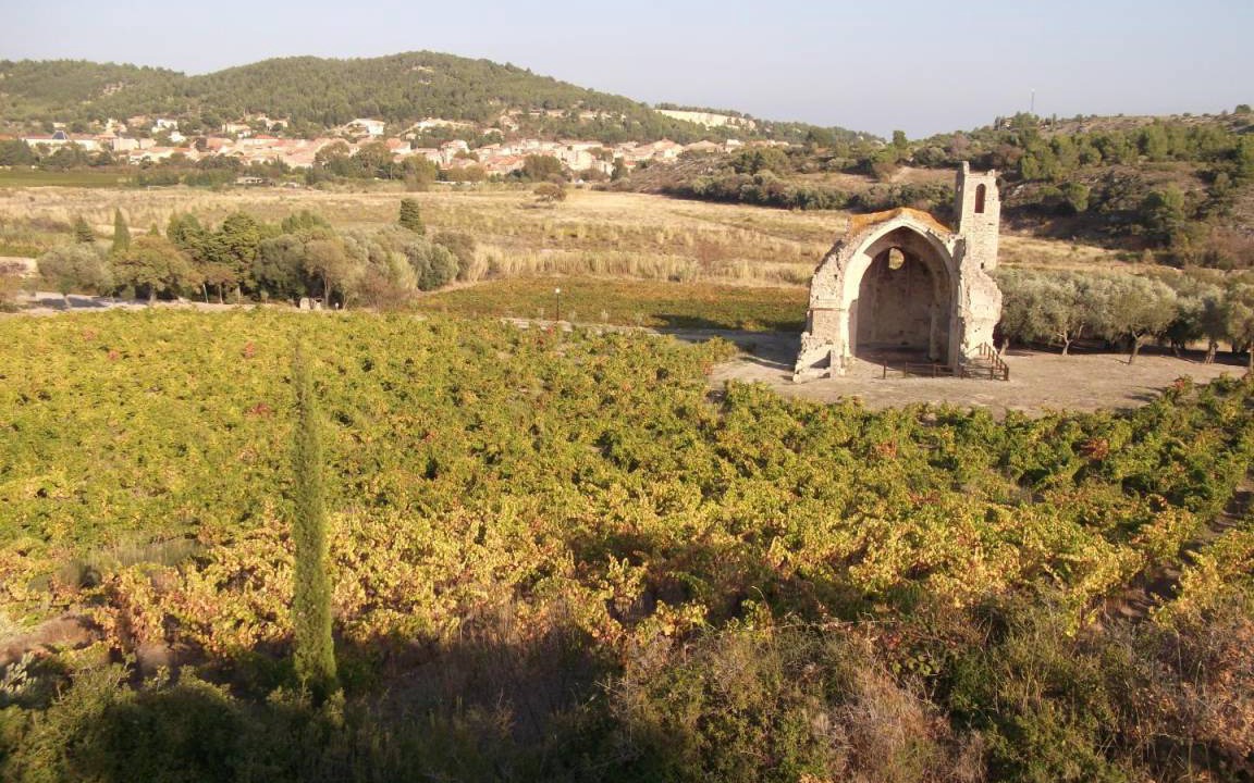 Photo of Others in Portel-des-Corbieres