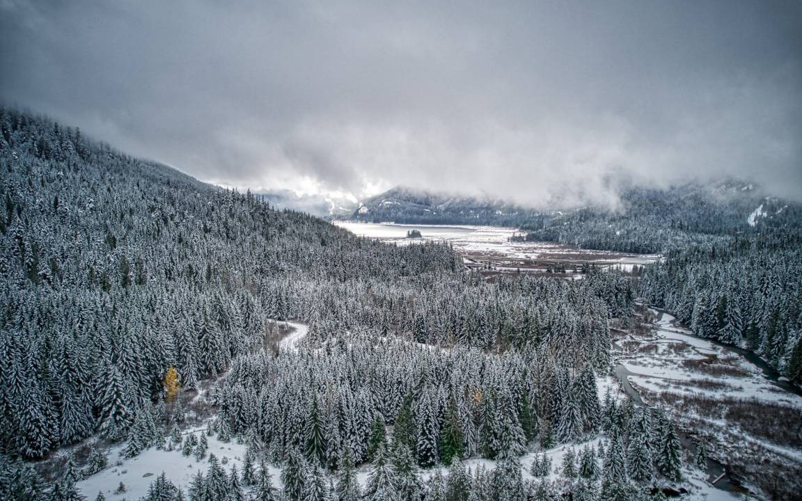 Photo of Others in Hyak
