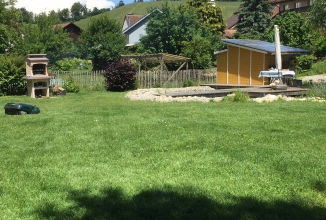 Photo of Others in Tegerfelden