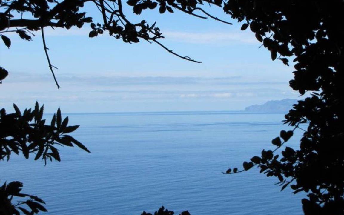 Photo of Outdoor in Santo Amaro
