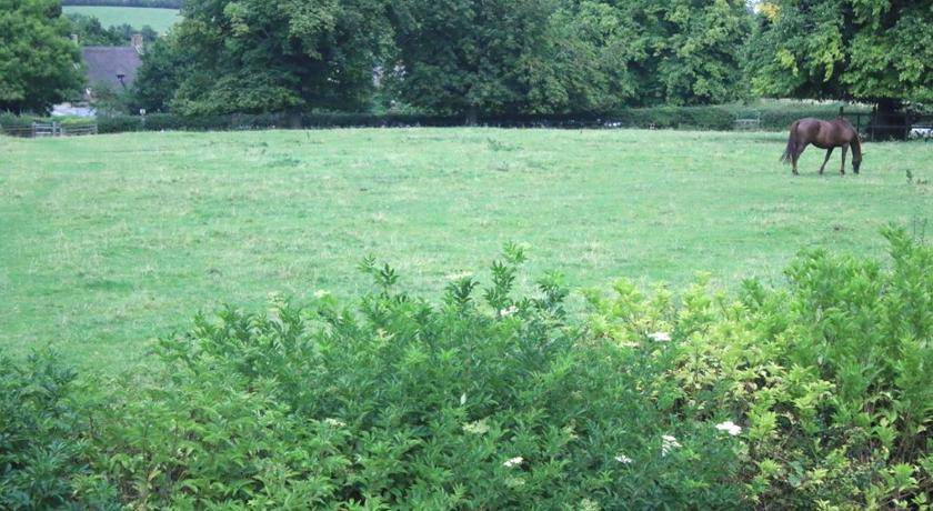 Photo of Others in Sulgrave