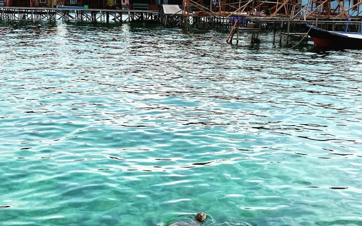 Photo of Others in Pulau Derawan