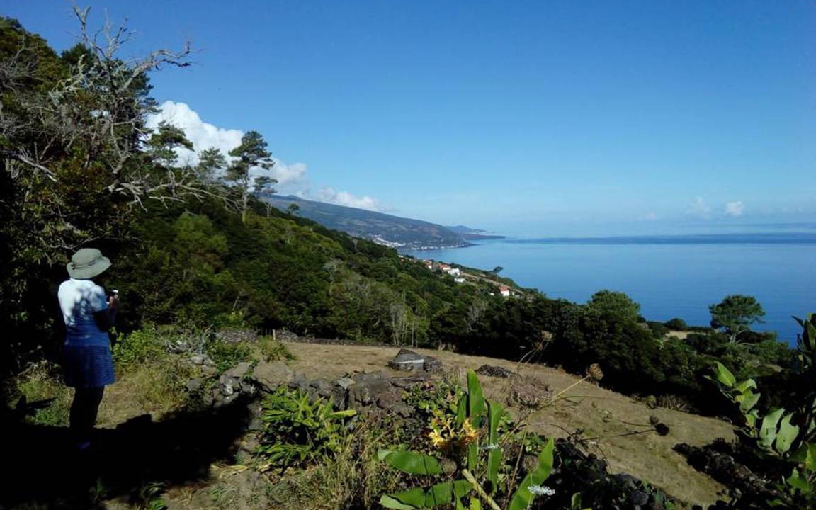 Photo of Outdoor in Santo Amaro