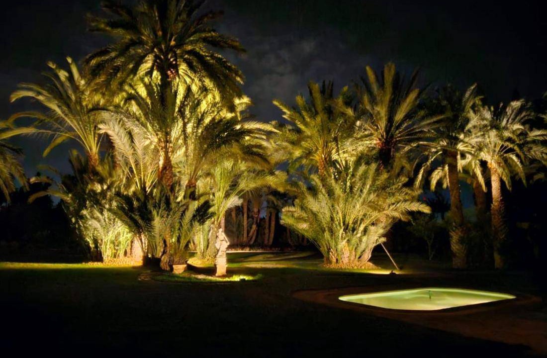 Photo of Others in Palmeraie