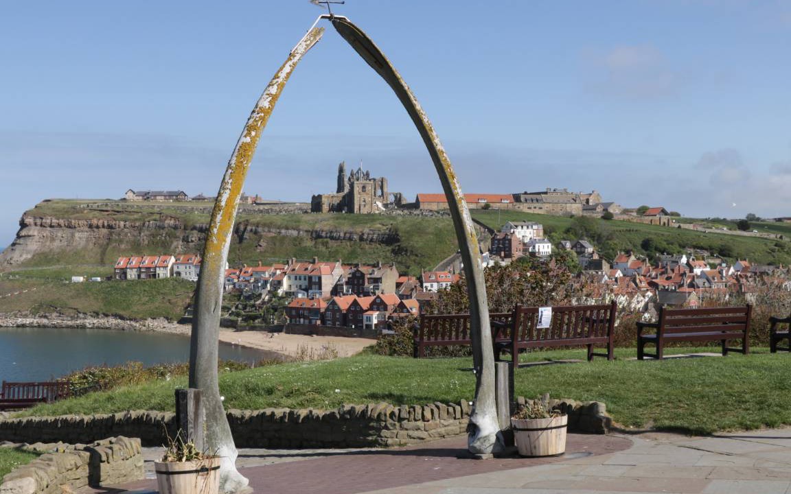 Photo of Others in Whitby