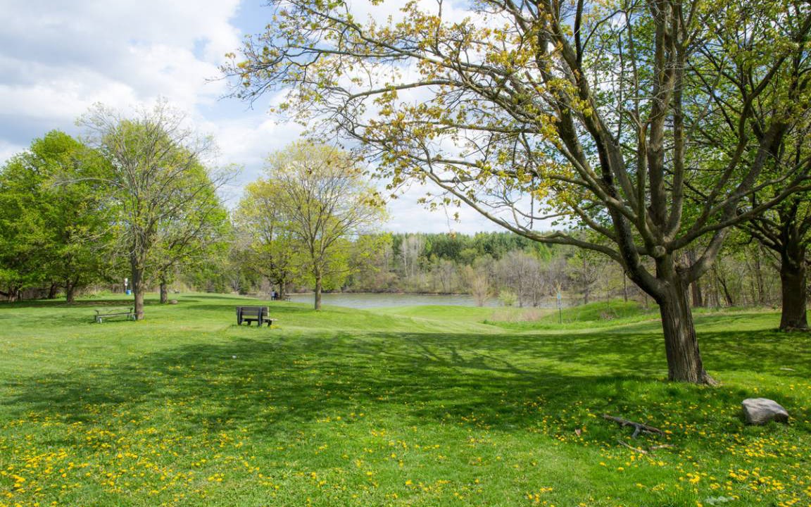 Photo of Others in Markham