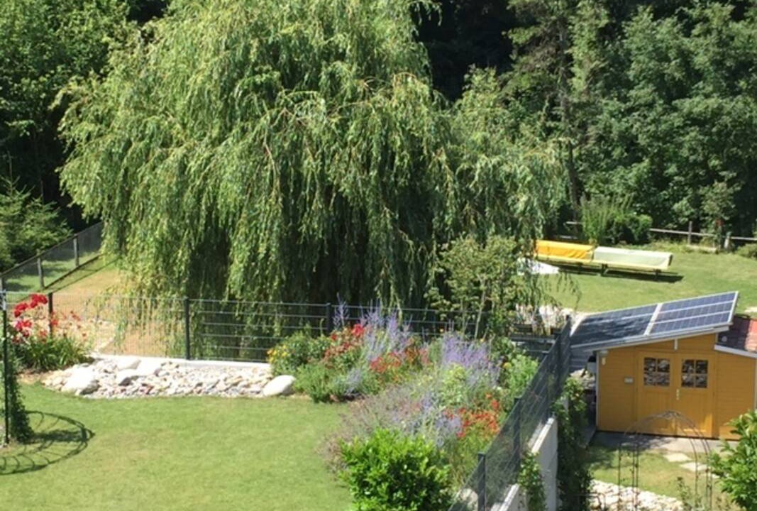 Photo of Others in Tegerfelden