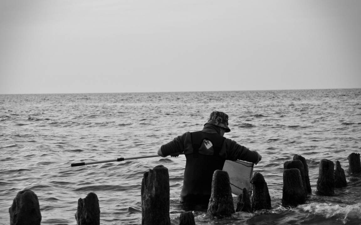 Photo of Others in Dziwnowek