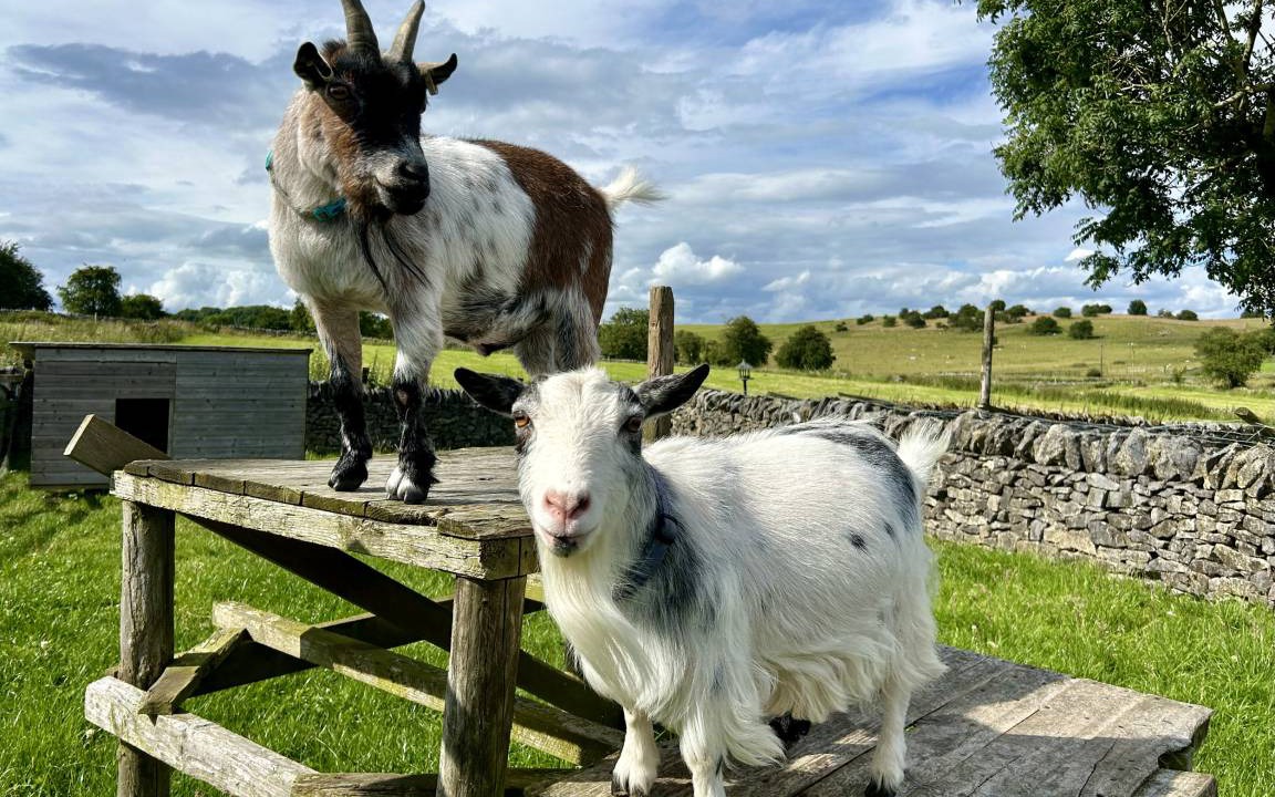 Photo of Others in Newton Grange