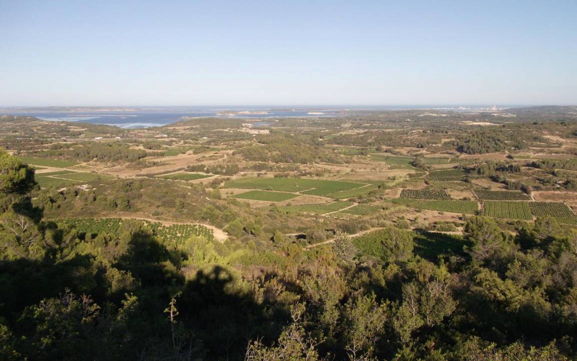Photo of Others in Portel-des-Corbieres