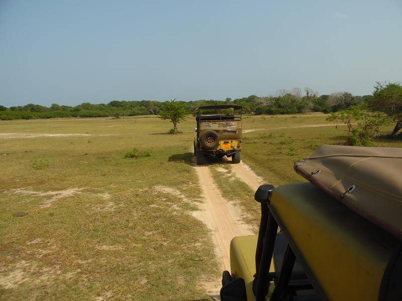 Photo of Others in Kataragama