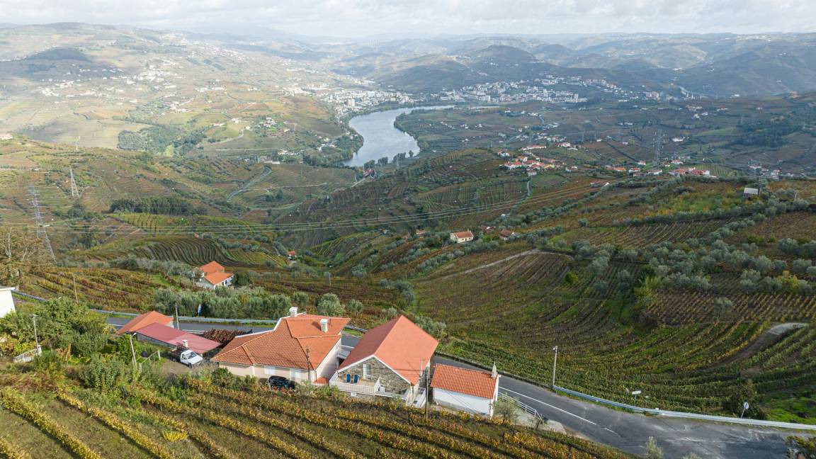 Photo of Others in Lamego