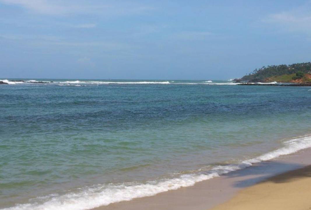 Photo of Others in Mirissa