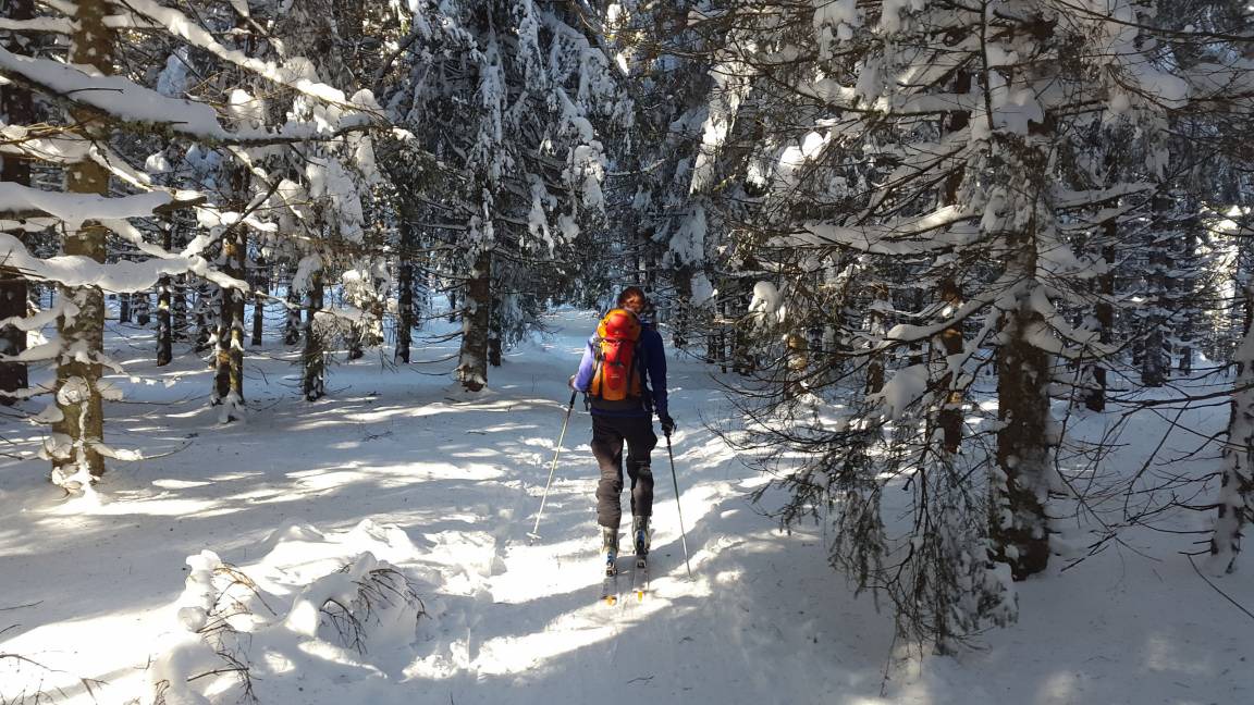 Photo of Others in La Bresse