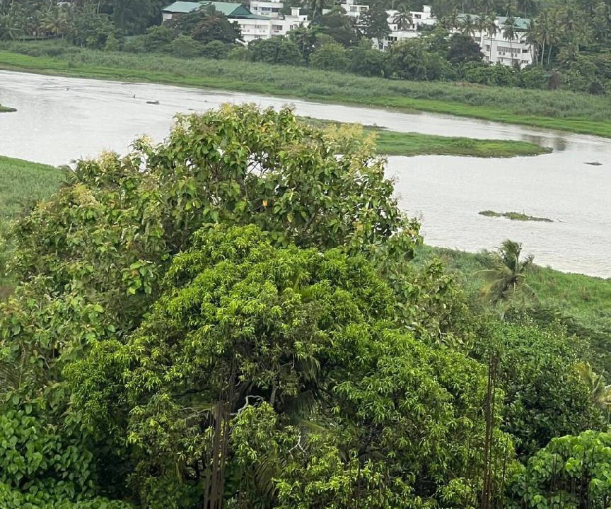 Photo of Others in Thiruvananthapuram