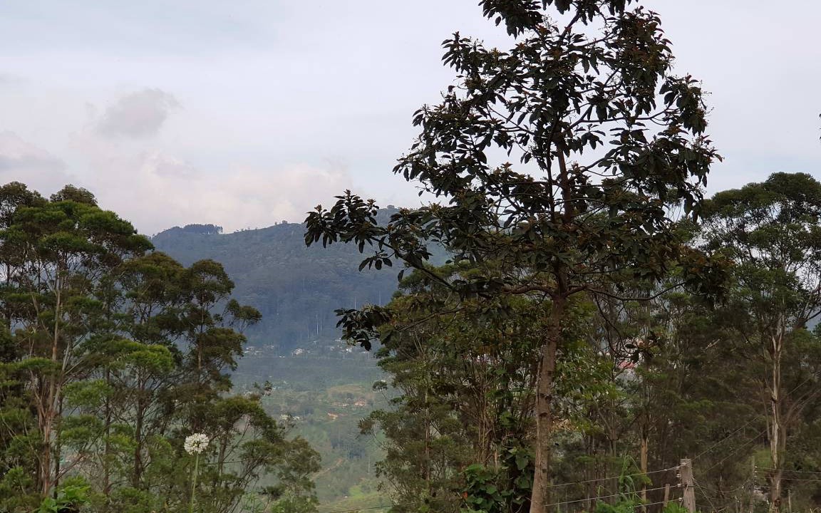 Photo of Others in Haputale