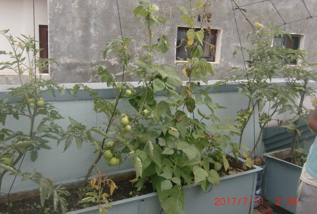 Photo of Others in Sainbu