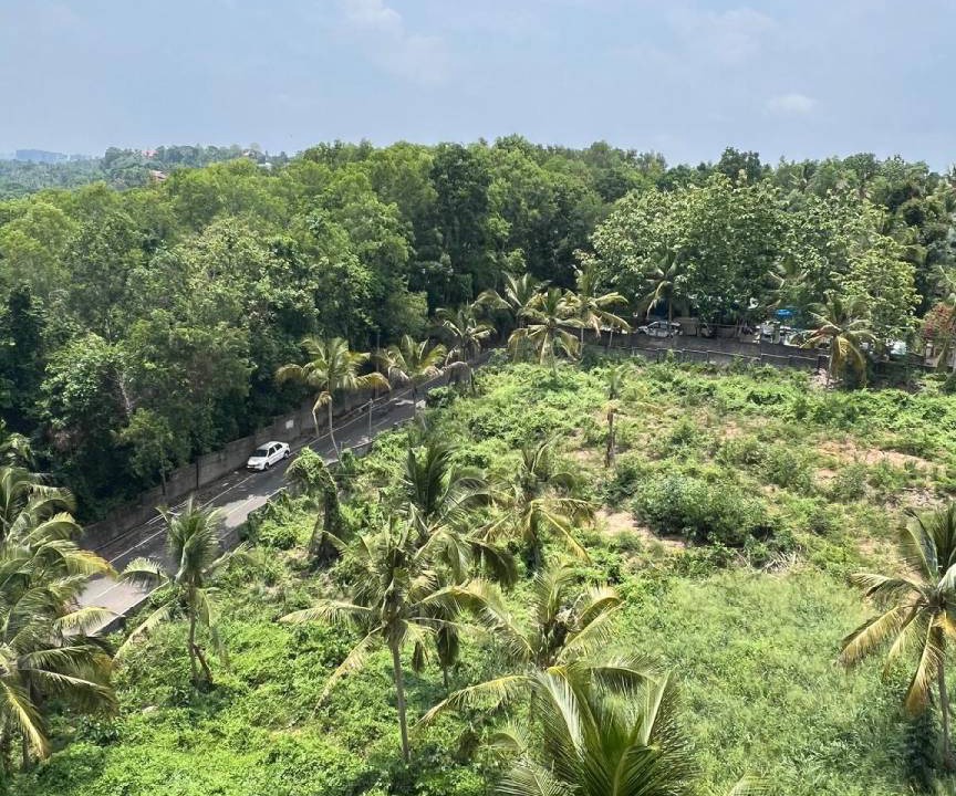 Photo of Outdoor in Thiruvananthapuram