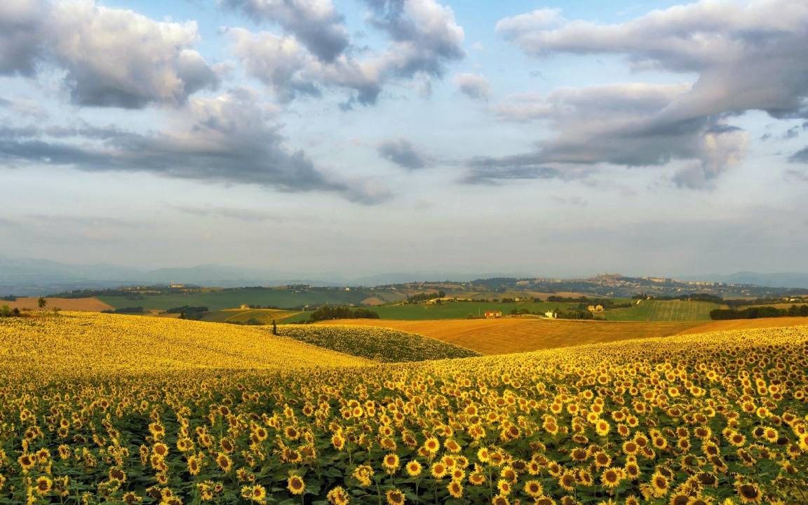 Photo of Others in Macerata