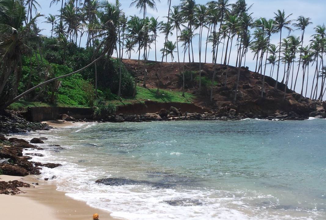 Photo of Others in Mirissa