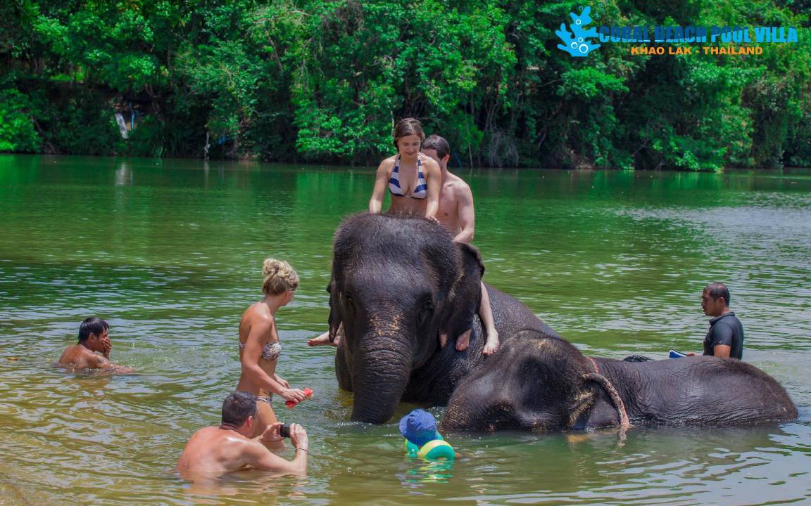 Photo of Others in Khao Lak