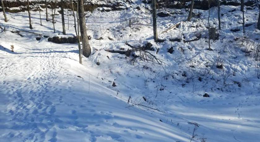 Photo of Others in Elroy