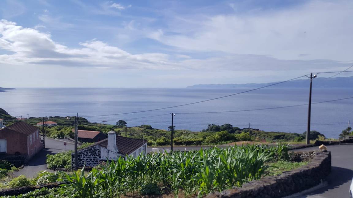 Photo of Others in Santo Amaro