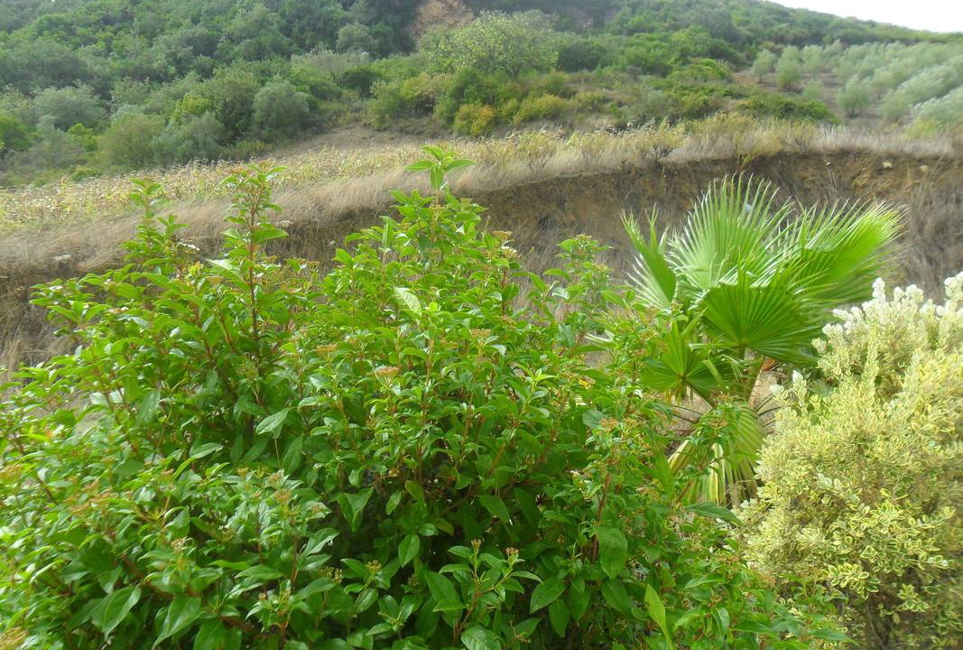 Photo of Others in Arruda dos Vinhos