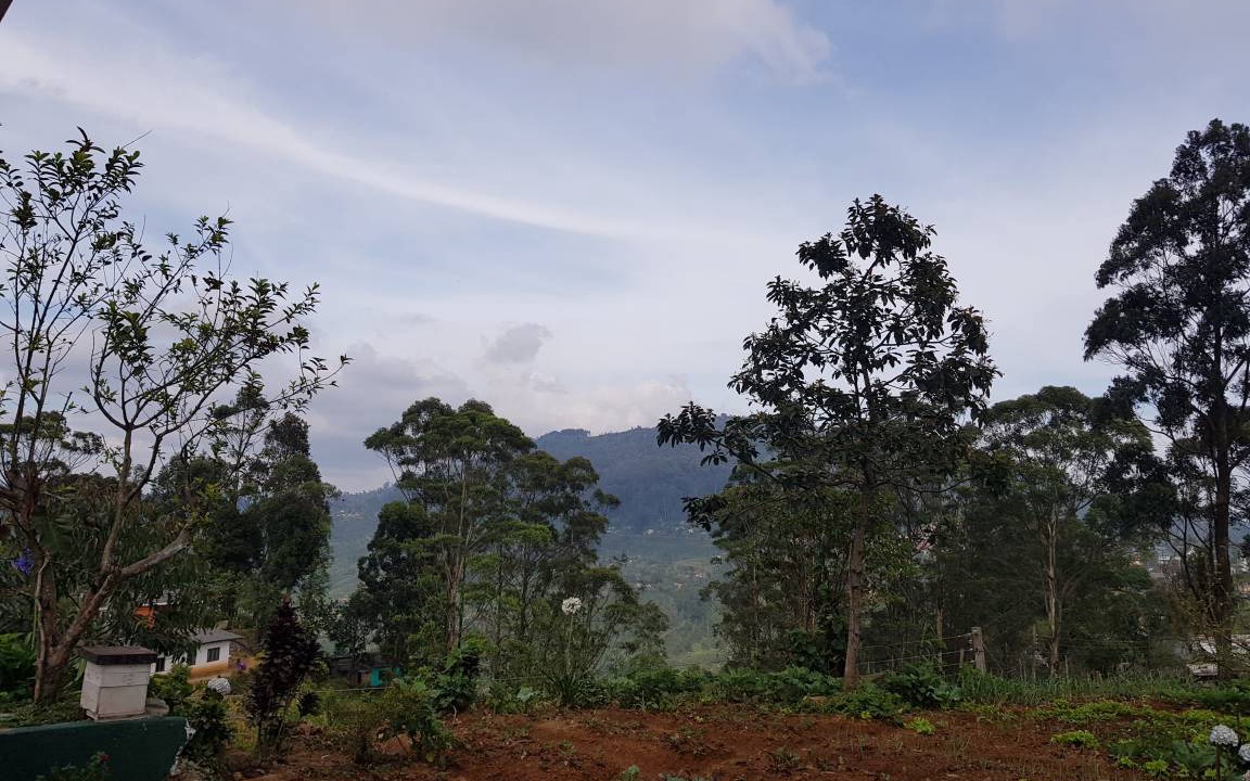 Photo of Others in Haputale