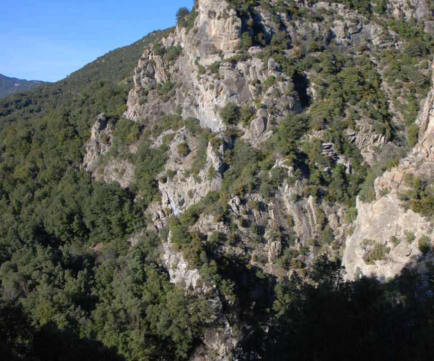 Photo of Others in Bizanet