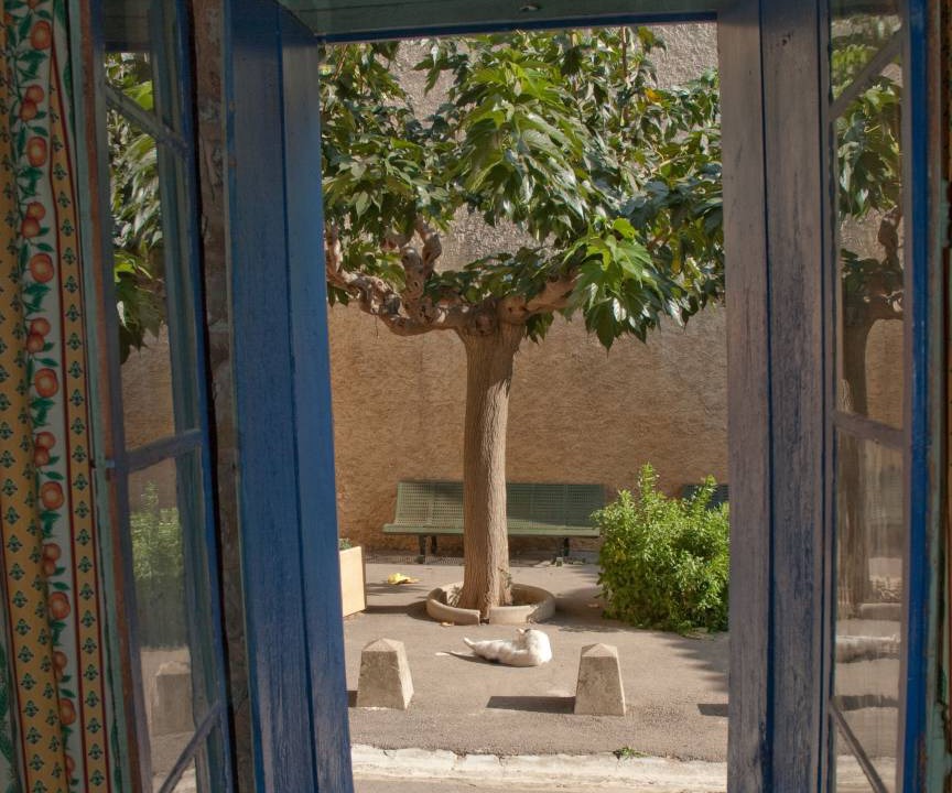 Photo of Others in Bizanet