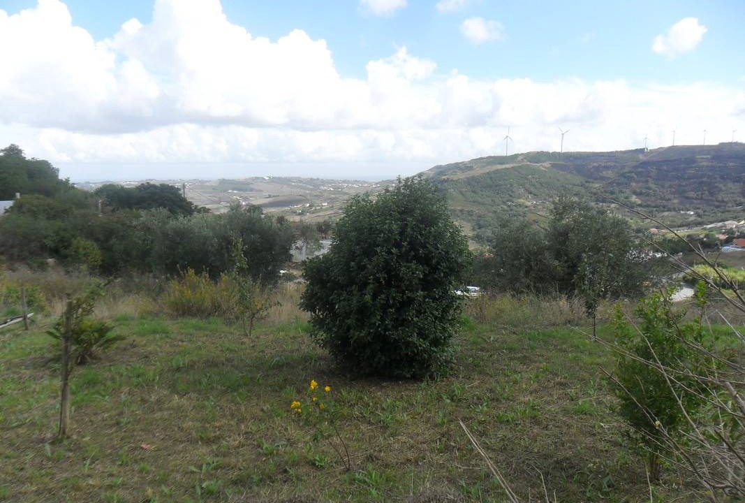 Photo of Others in Arruda dos Vinhos
