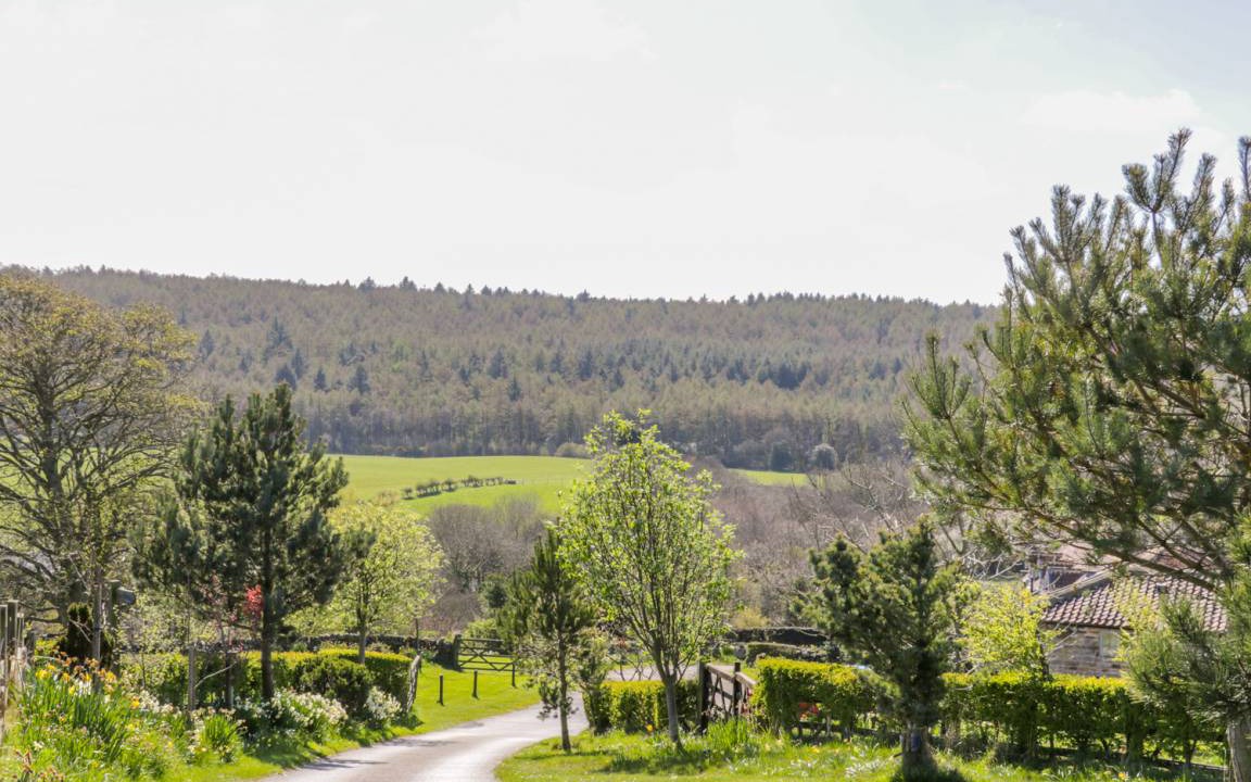 Photo of Others in Staintondale