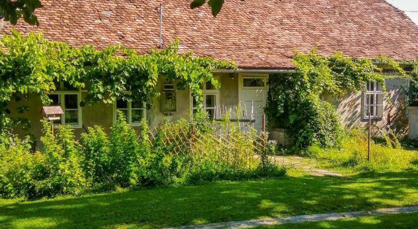 Photo of Buildings in Fagaras
