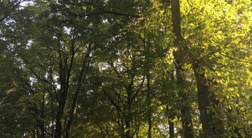 Photo of Outdoor in Apeldoorn