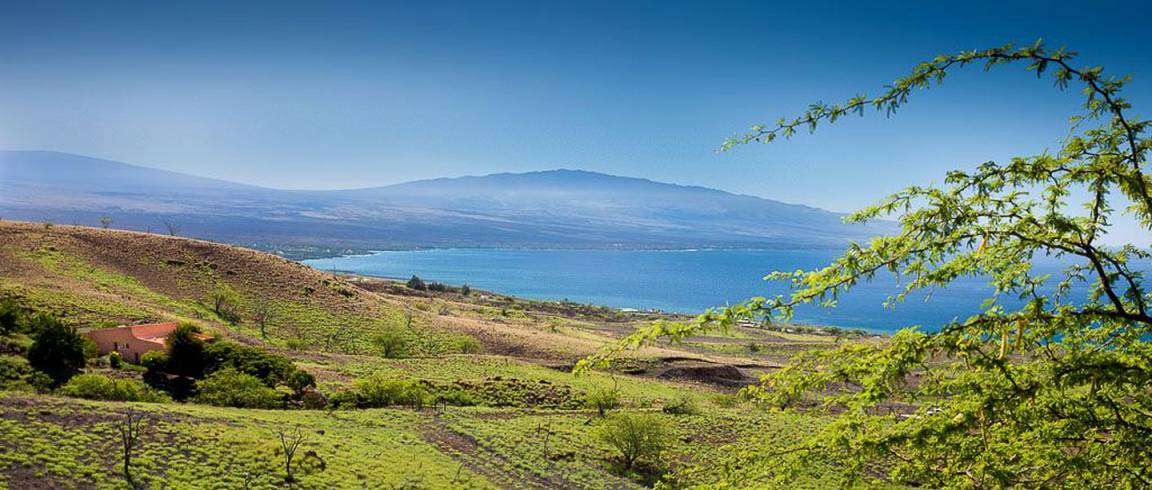 Photo of Others in Kohala Estates