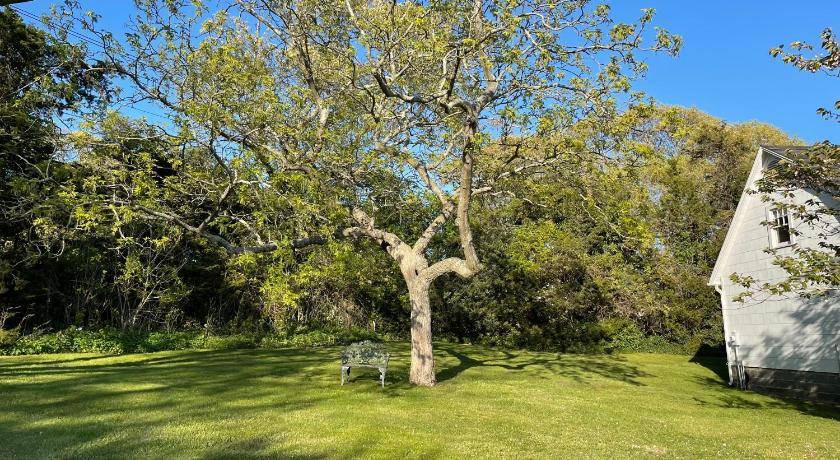 Photo of Others in Hampton Bays