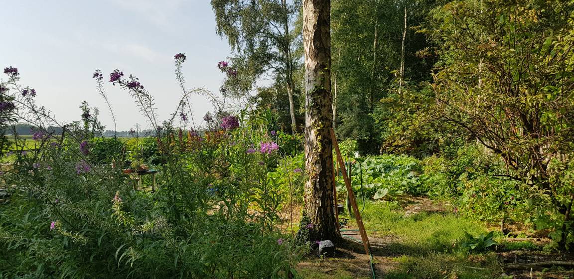 Photo of Others in Oosterpoortwijk