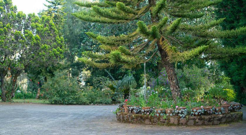 Photo of Others in Ooty