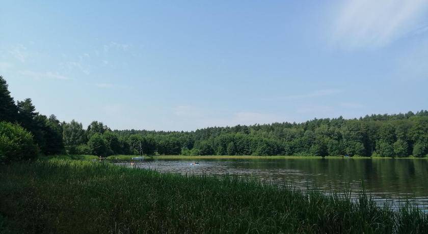 Photo of Others in Wejherowo
