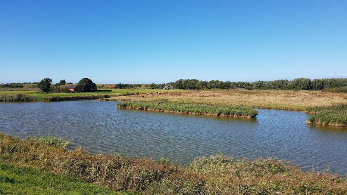 Photo of Outdoor in Breskens