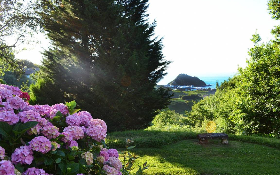 Photo of Others in Getaria